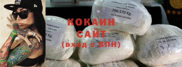 прущие грибы Пересвет
