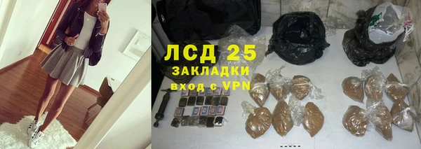 прущие грибы Пересвет