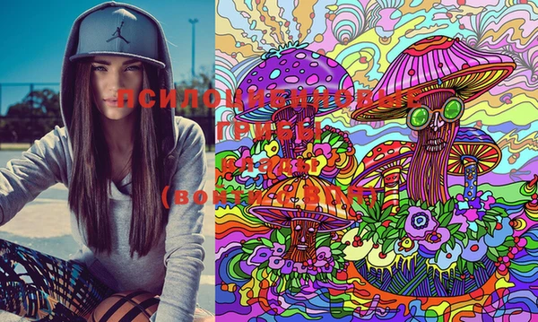 mix Пестово