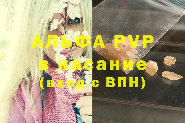 прущие грибы Пересвет