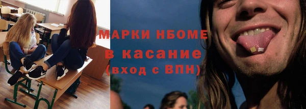 прущие грибы Пересвет