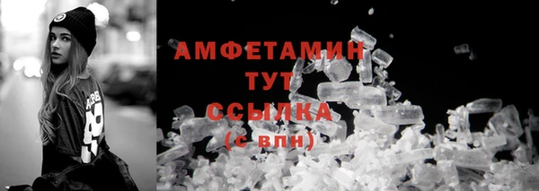 прущие грибы Пересвет