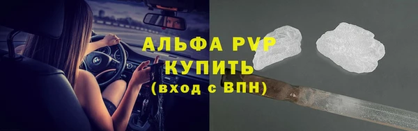 прущие грибы Пересвет