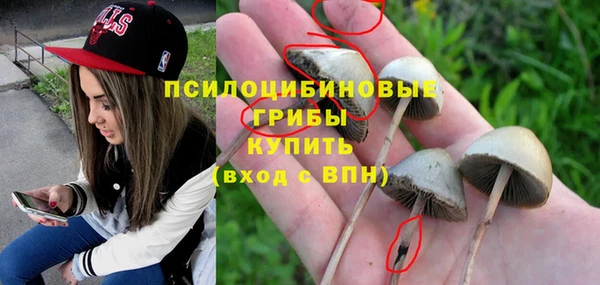 mix Пестово