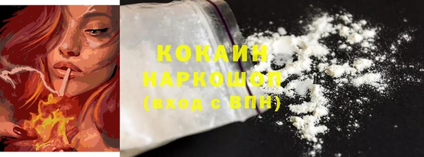 прущие грибы Пересвет