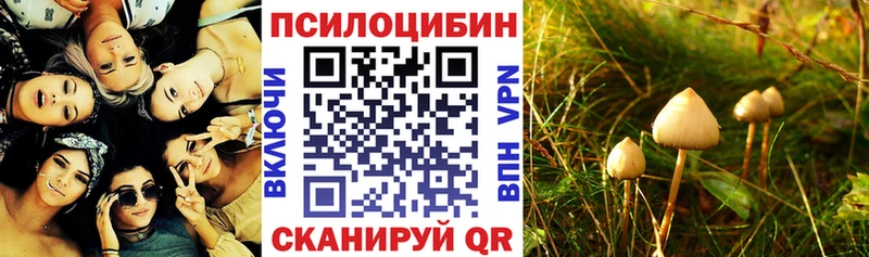 Псилоцибиновые грибы мухоморы  Белая Холуница 