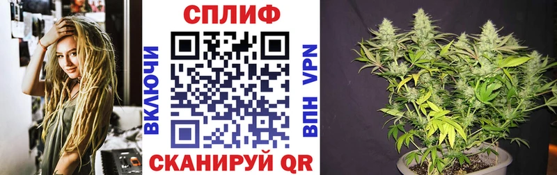 Бошки марихуана ГИДРОПОН Белая Холуница